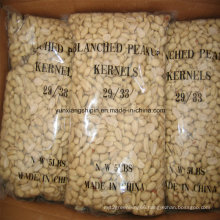 Blanched Groundnut Kernel, FDA Export USA Blanched Peanut